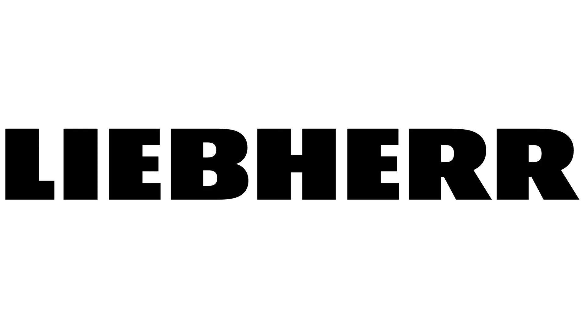 Liebherr - Bearing