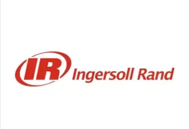 [3968617] Ingersoll Rand - O-Ring